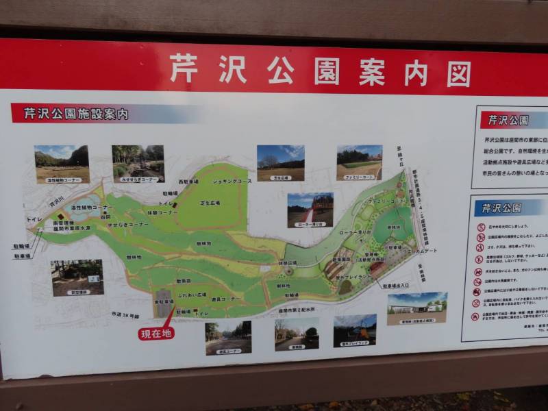 とても伸び伸びできる芹沢公園がすぐ近くに！