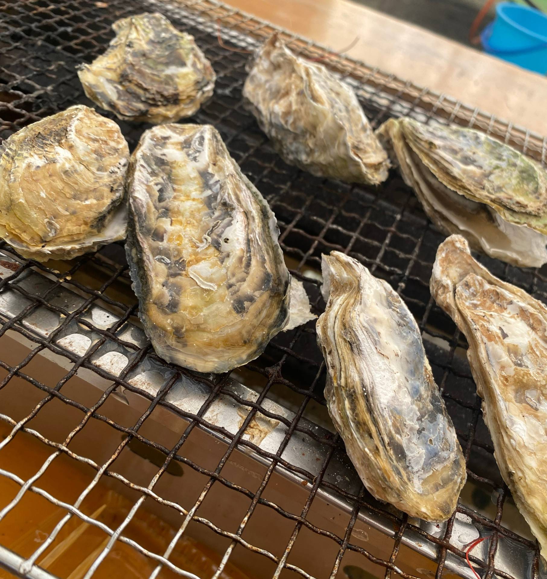 糸島の牡蠣小屋