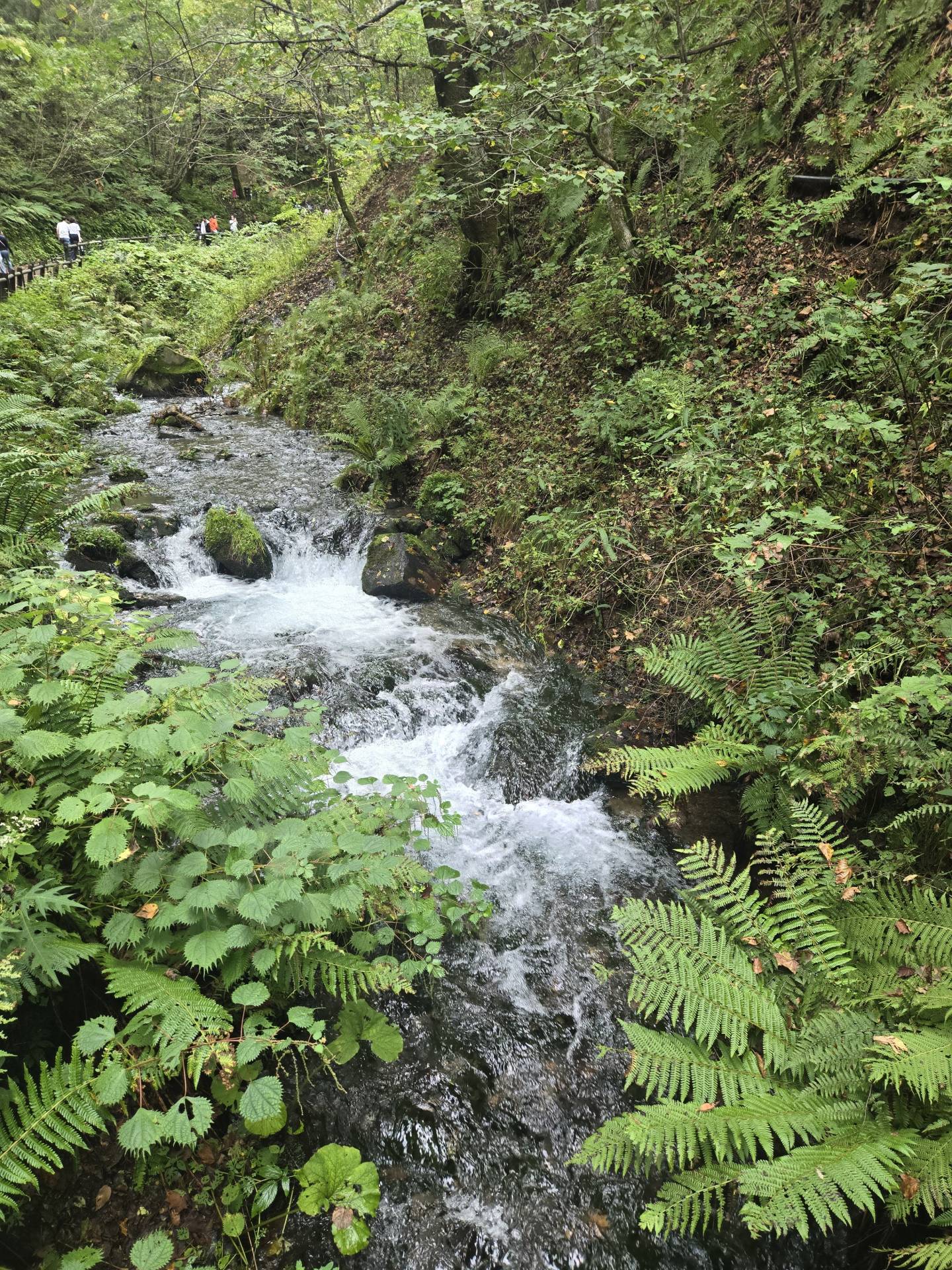 軽井沢の白糸の滝