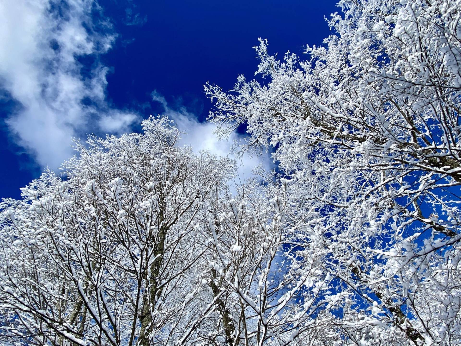 雪景色の軽井沢