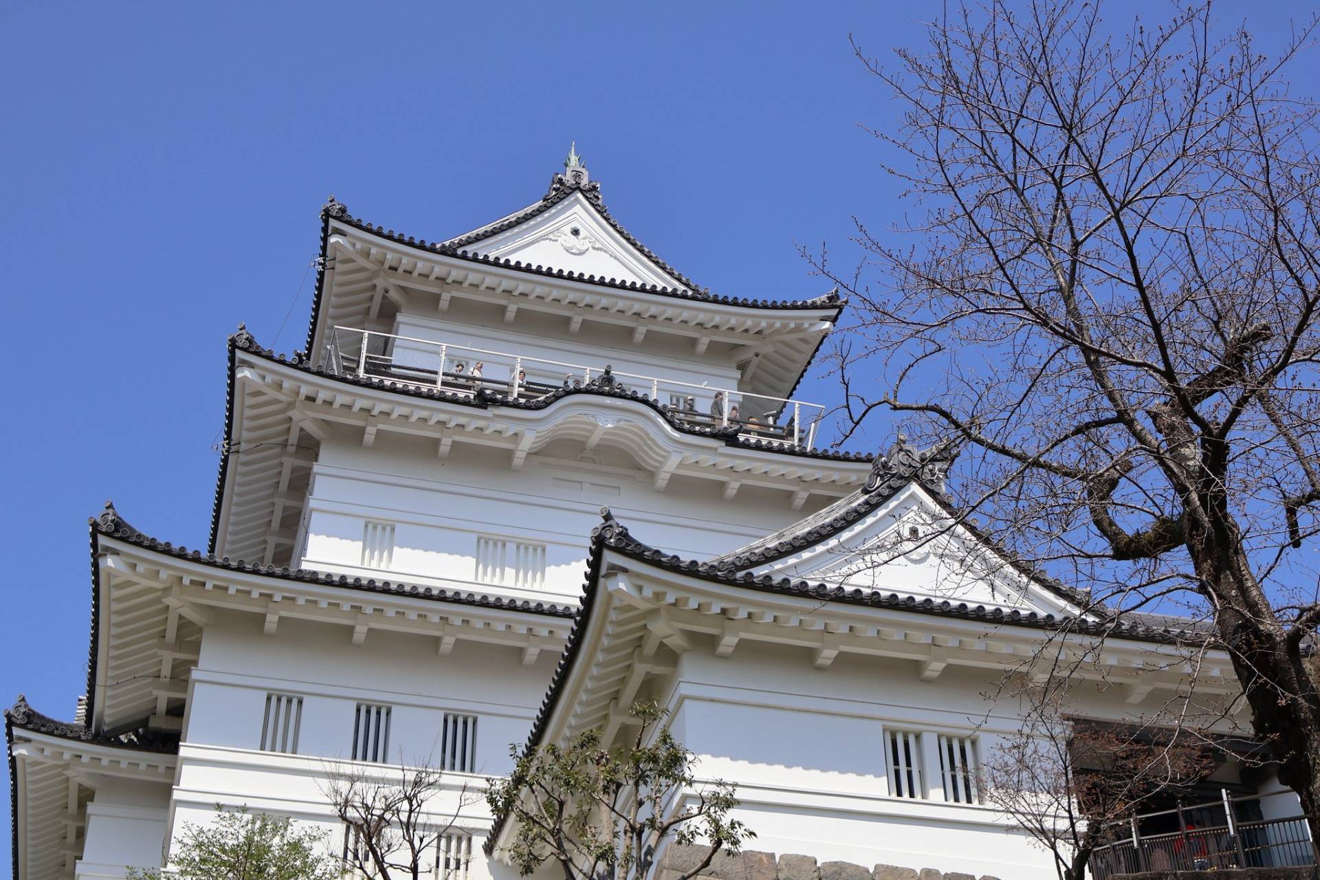 小田原城