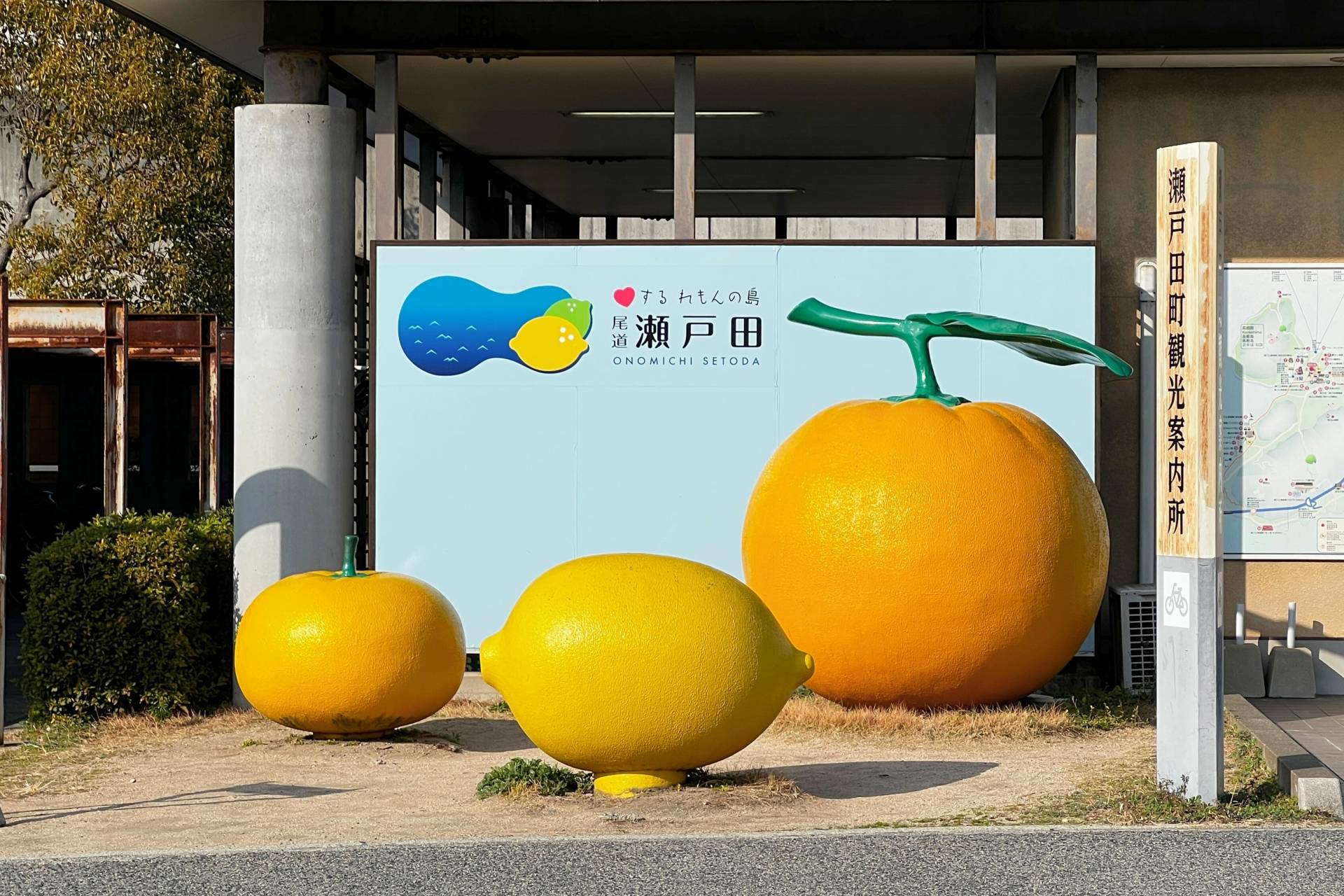 瀬戸内の柑橘(レモン)