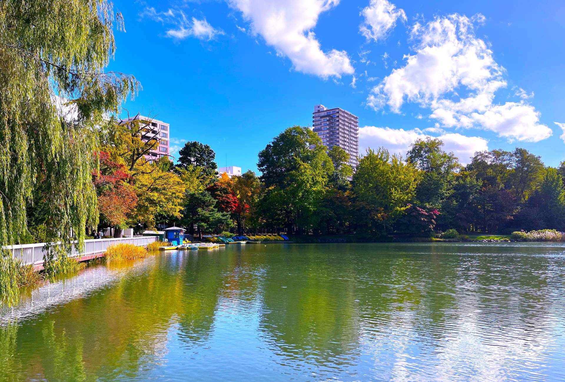 札幌の公園と四季の景色