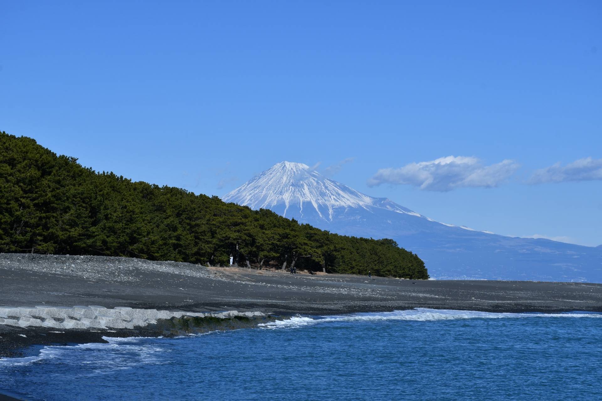 三保松原と富士山