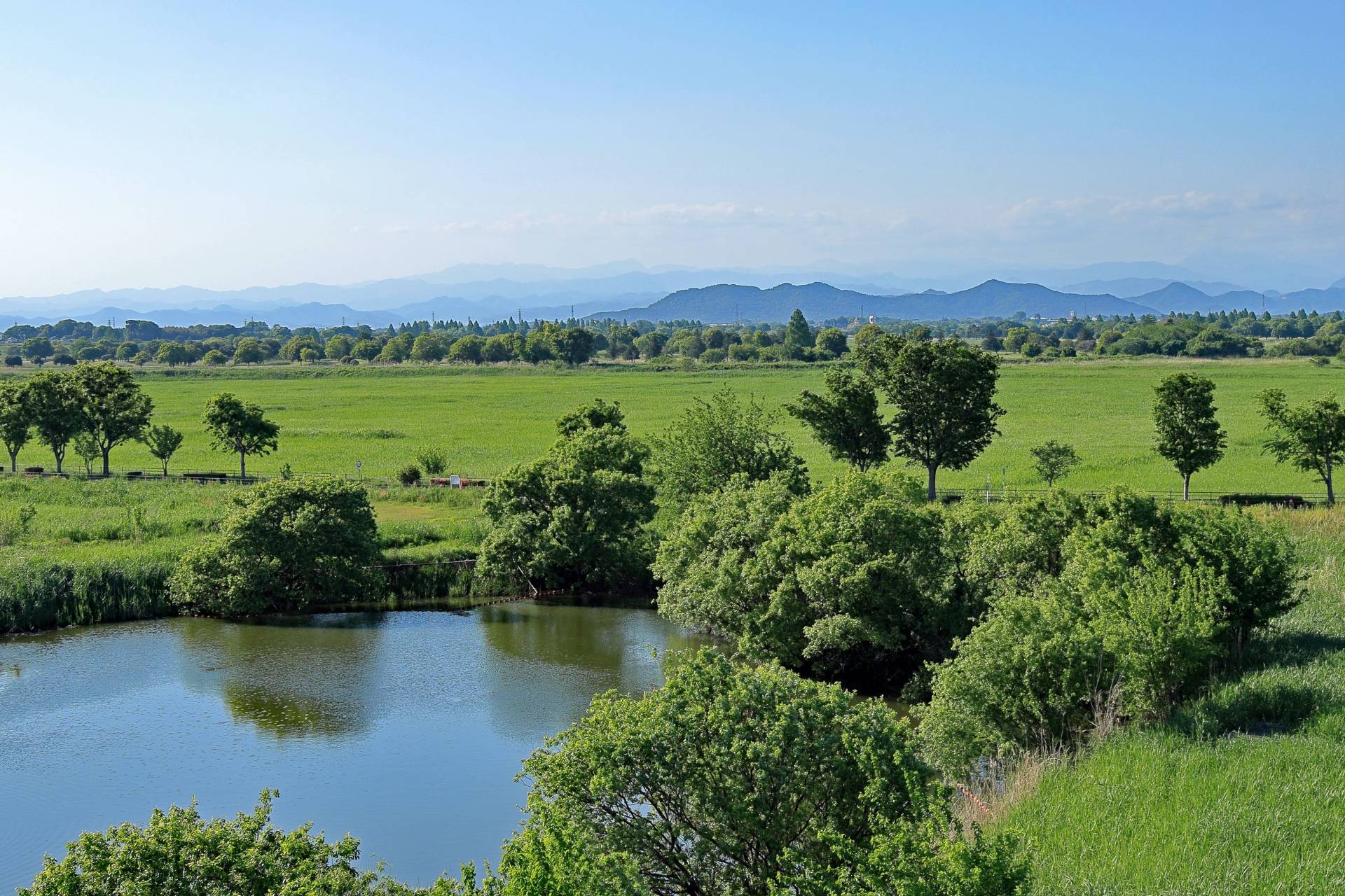 渡良瀬遊水地の広がり
