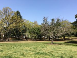 府中の森公園