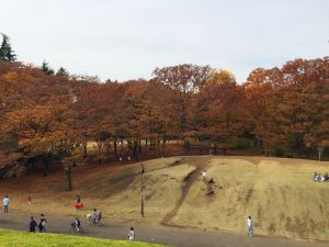 小金井公園