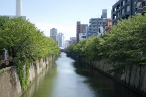 目黒川
