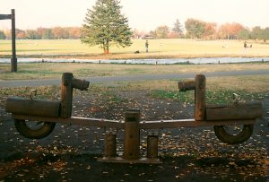 昭和記念公園