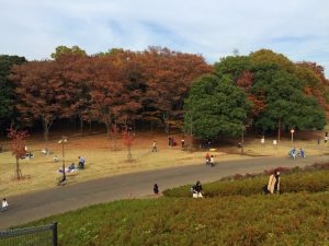 秋の小金井公園