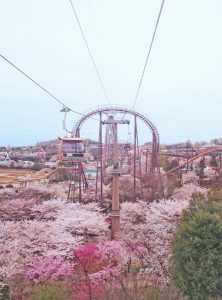 桜ロープウェイ