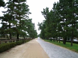 草加松原